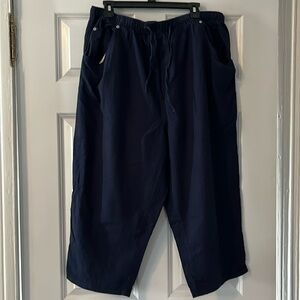 Dress Barn Blue and Black Small Checked Capris